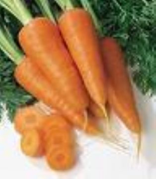 Natural Carotenes